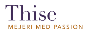 Thise Logo 65X25mm